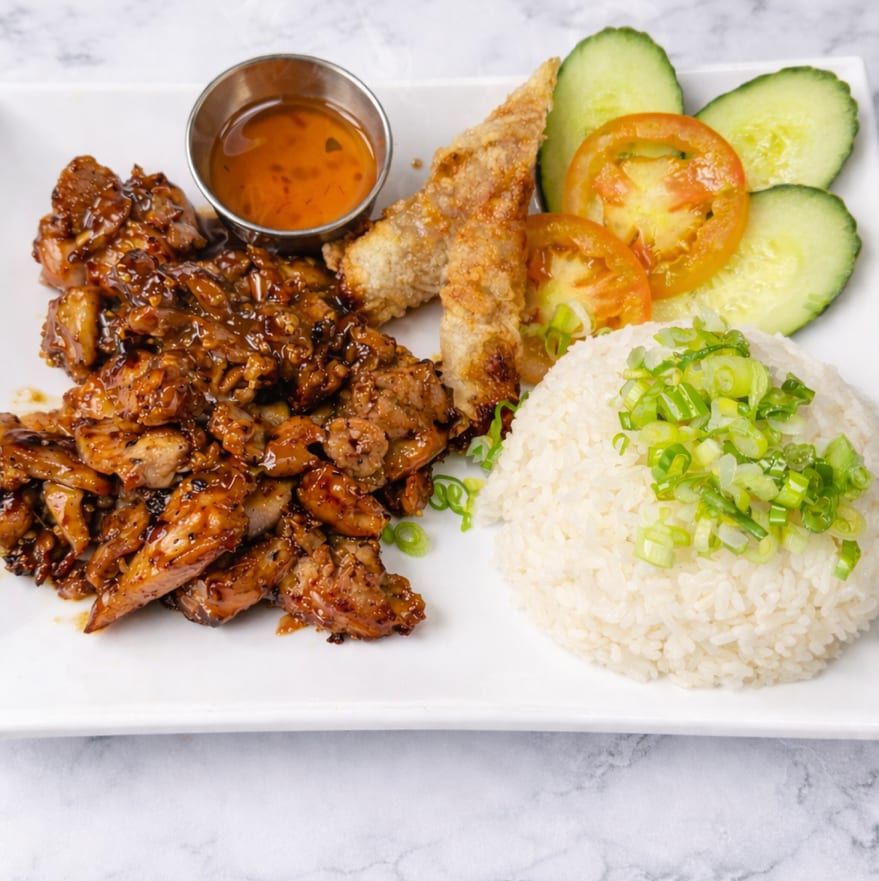 Vietnamese Style Grilled Chicken Rice Platter.
