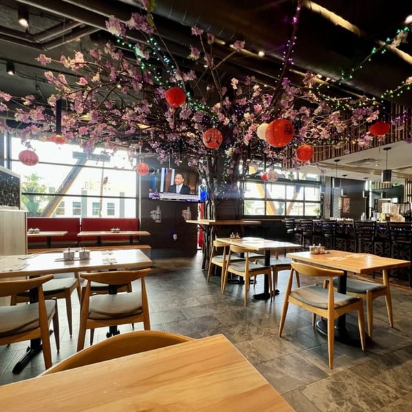 Interior of Tasty Pot! restaurant with a large cherry blossom tree, red lanterns, and wooden tables.